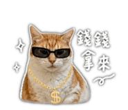 844702126