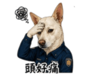 844702642