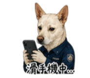 844702646