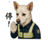 844702657