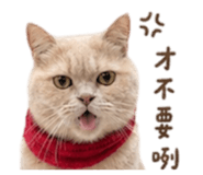844702940