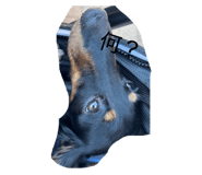 844703426