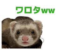 844703612