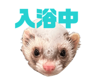 844703617