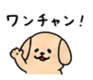 844703847