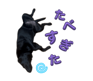 844703859