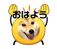 844704073