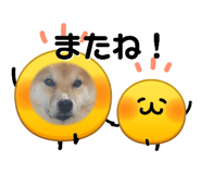 844704076