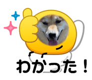 844704077