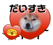 844704079