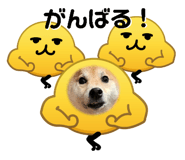 844704080