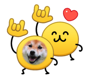 844704081