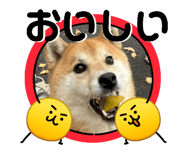 844704082