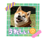 844704085