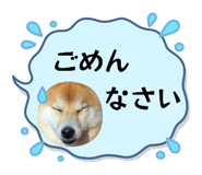 844704088