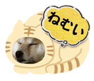 844704089