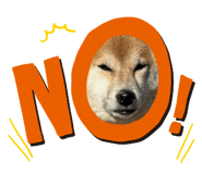844704093
