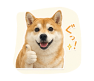 844704285