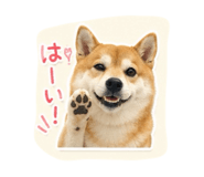 844704286