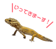 844704314