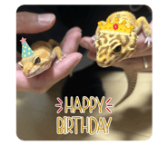 844704317