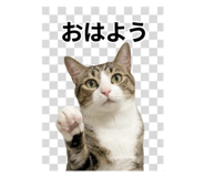 844704321