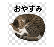 844704324