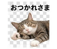 844704326