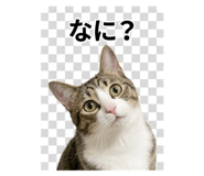 844704331