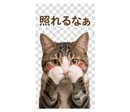 844704336