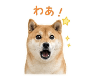 844704388