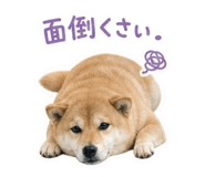 844704389