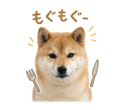 844704390