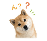 844704393