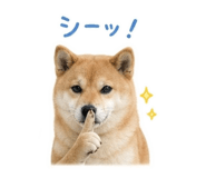 844704398