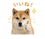 844704399