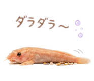 844705198