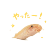 844705207