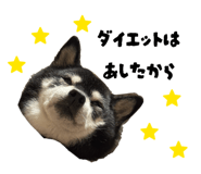 844705300