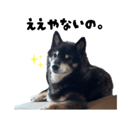 844705308