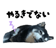 844705312