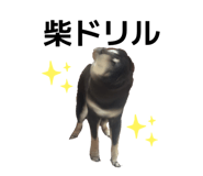 844705320