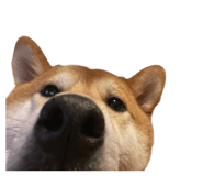 844705326