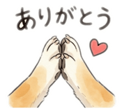 844705698