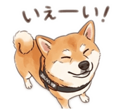 844705735