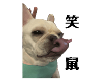 844707015