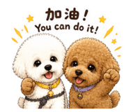 844707651