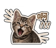 844708398