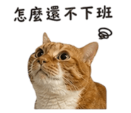 844710888
