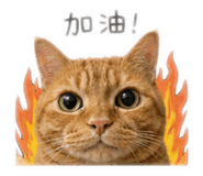 844711668